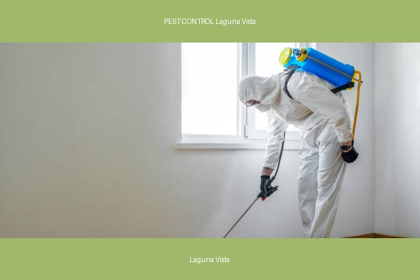 PEST CONTROL Laguna Vista